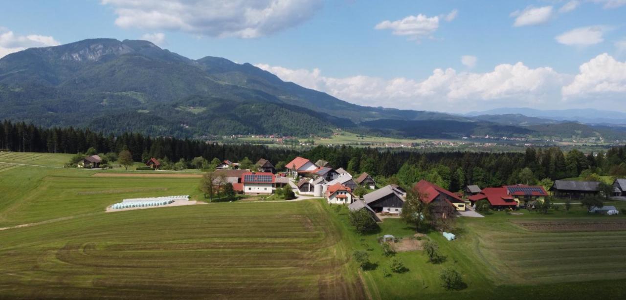 Apartment With Mountain View And Rivers Close By Smartno ob Dreti エクステリア 写真